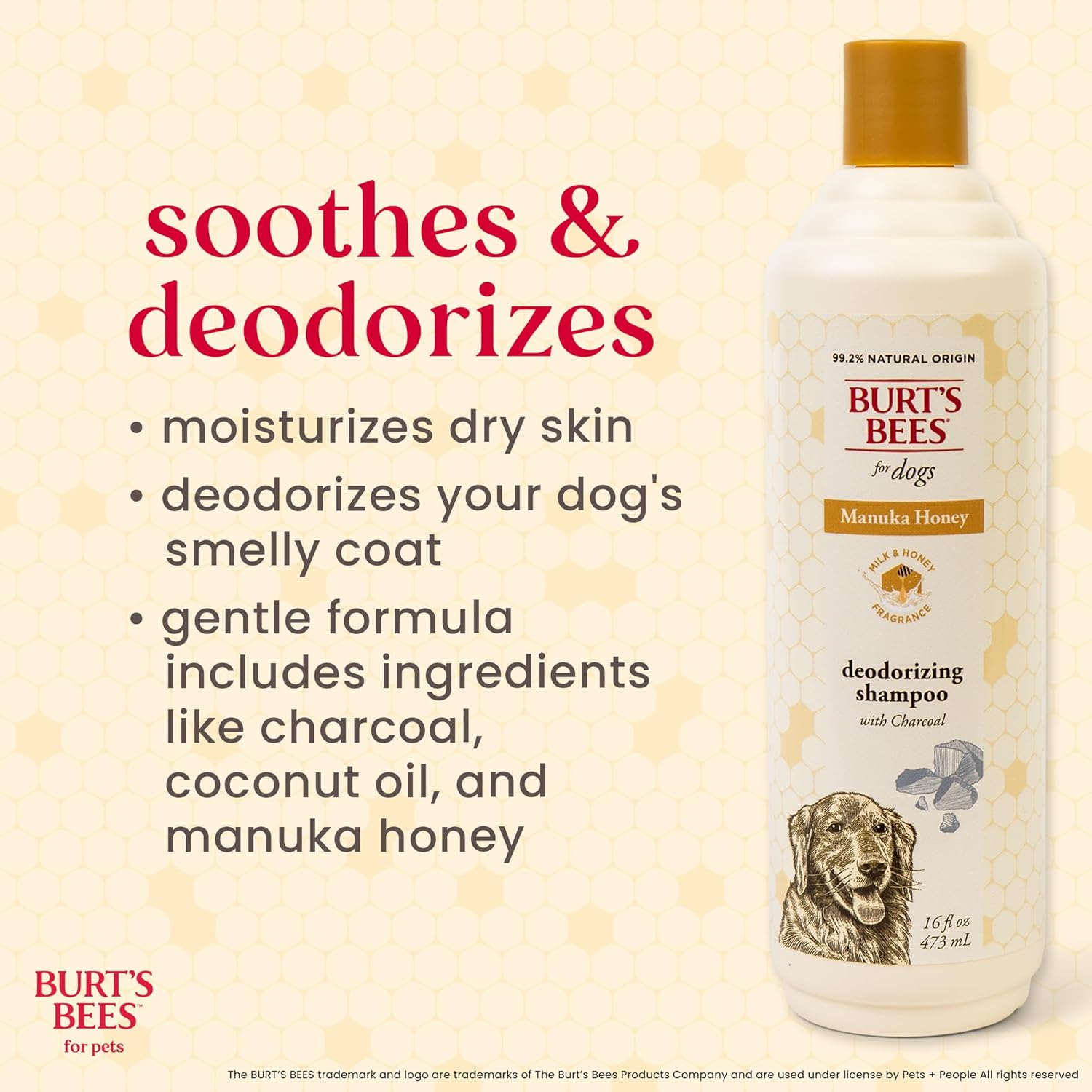 Burt’s Bees for Pets Deodorizing Shampoo with Manuka Honey and Charcoal for Dogs - Naturally Derived Ingredients, 16 Fl Oz