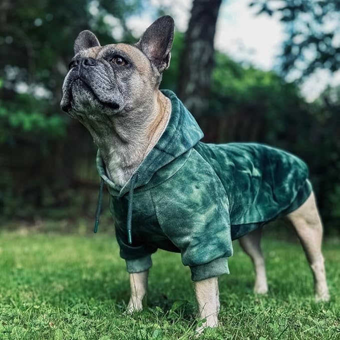 Spark Paws Dog Hoodie – Premium Dog Sweater for Small, Medium, and Large Dogs | Warm Outfits for French Bulldogs, Pitbull, Puppy, Winter Jacket Alternative - Green Skydye, 2XL