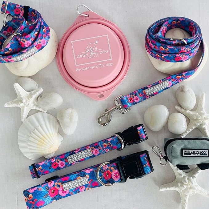 Lucky Love Dog - Easy Click Buckle Dog Collar with Leash Set Combo, Durable & Comfortable for Male & Female Dogs, Pet Collar for Small to Large Dogs, Secure Fit - Zuzu Combo, XL