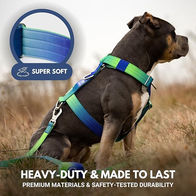 Spark Paws No Pull Dog Harness for Large Dogs, Heavy Duty Dog Harness for Big Strong Breeds, Adjustable, Y Shaped Padded Halter Design with Front Clip - Lime Wave - M