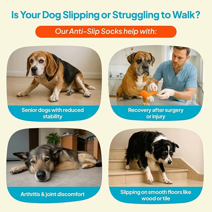 Anti-Slip Dog Socks – Non-Slip Traction Socks for Dogs with Adjustable Straps, Prevents Slipping on Hardwood Floors, Breathable & Washable – 4 Pack (Sizes XS–XXL) (M)