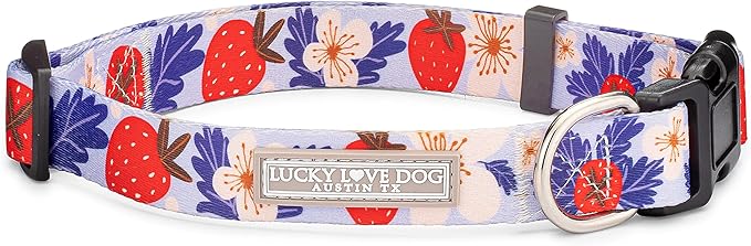Lucky Love Dog - Adjustable Dog Collar with Easy Click Buckle for Small to Large Ones, Durable, & Comfortable for Male & Female Dogs, Pet Collar for Puppies & Adult Dogs - Sweet Berry, Medium