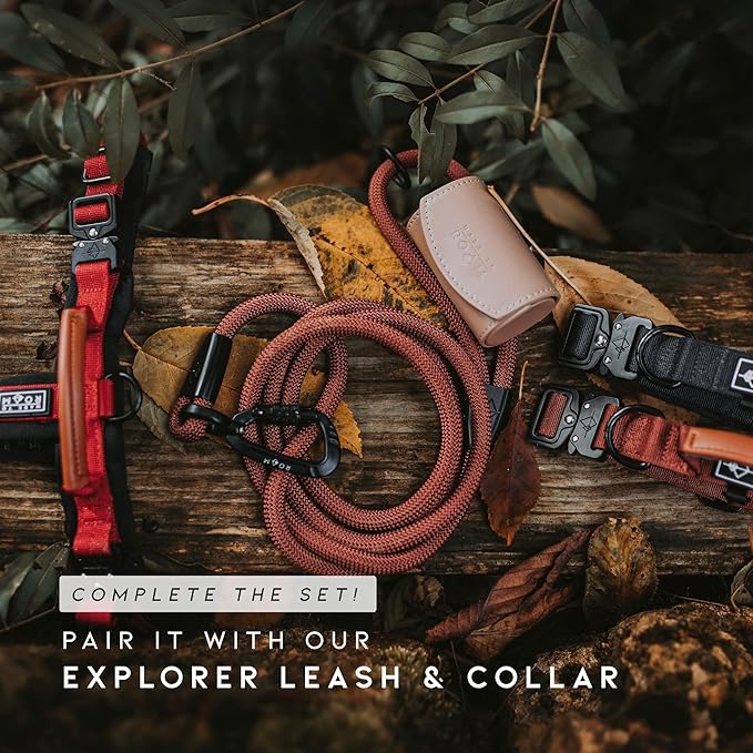 MADE TO ROAM Premium Explorer Harness - Y-Shaped Dog Harness with Adjustable Durable Nylon, Soft Padding, Metal Buckles and Leather Handle for Small, Medium, Large Dogs (Utah Glow, Size 5)