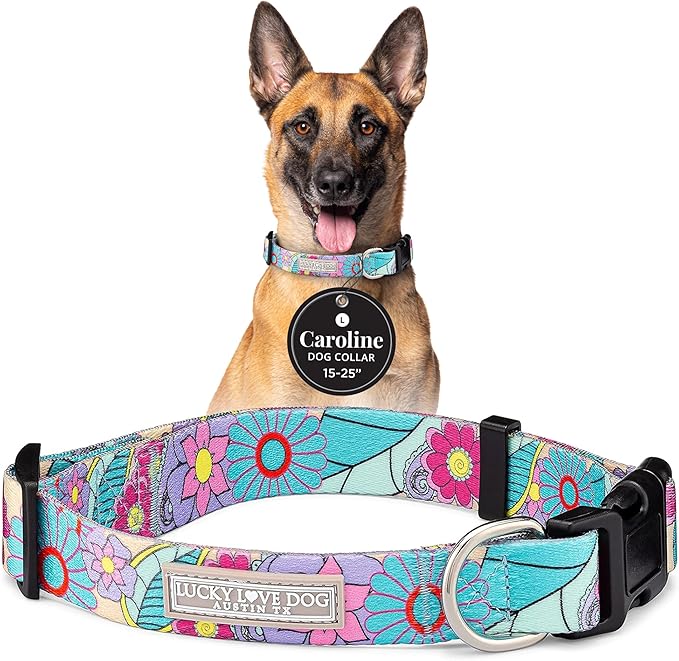 Lucky Love Dog Collars, Cute Large Dog Collars for Female Dogs, Part of Purchase Donated to Rescue (Large, Caroline, Collar)