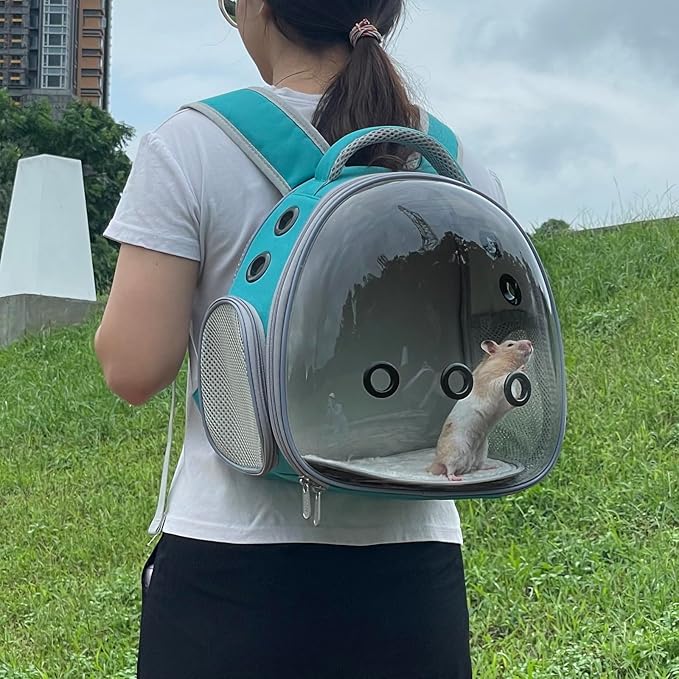 Portable Travel pet Backpack Carrier Hamster Bag Guinea Pig Bird Small Dog cat Turtle Carrier Rabbit Cage Squirrel Bearded Dragon Breathable Hangbag (Green)