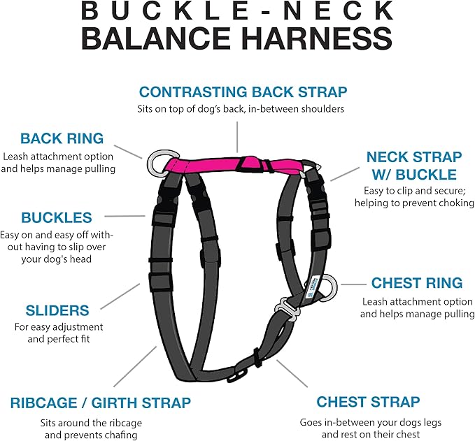 Blue-9 Buckle-Neck Balance Harness, Fully Customizable Fit No-Pull Harness, Ideal for Dog Training and Obedience, Made in The USA, Hot Pink, Medium