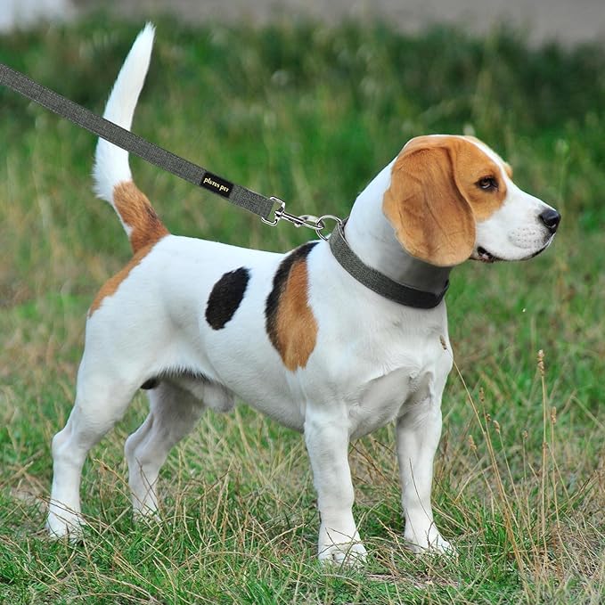 Plutus Pet Cotton Hemp Dog Collar and Leash Set, Adjustable Collar for Small, Medium, and Large Dogs, Heavy Duty and Soft on Skin, Gray, M