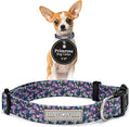 Lucky Love Dog, Comfortable, Soft, Cute Female Dog Collar for Tiny Dogs, Black & Purple Floral Print, Adjustable Nylon Collar, Primrose, XS