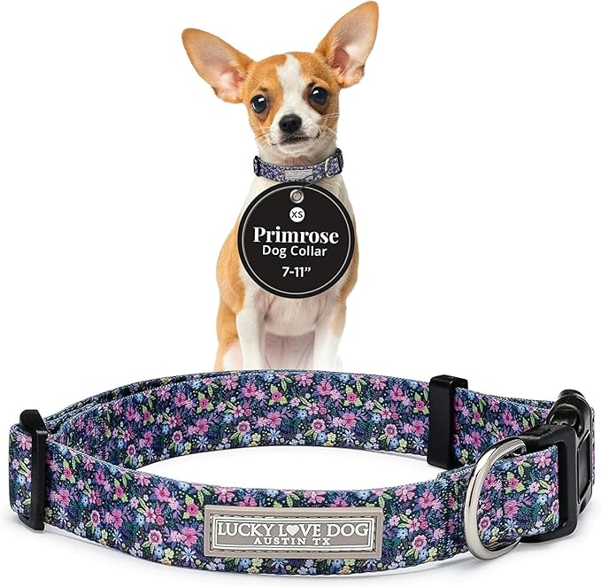 Lucky Love Dog, Comfortable, Soft, Cute Female Dog Collar for Tiny Dogs, Black & Purple Floral Print, Adjustable Nylon Collar, Primrose, XS