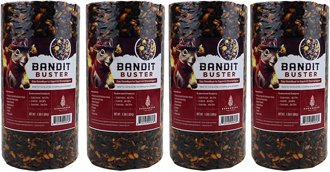 Birdseed Cylinders with Hole - Bird Seed for Outside Wild Birds (Small Cylinder, Bandit Buster 4pc)