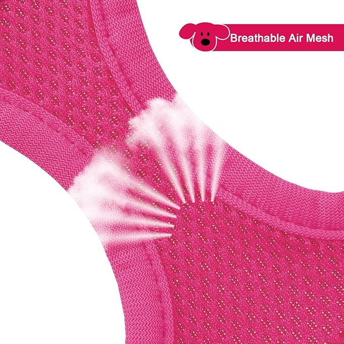 YIMEIS Dog Harness and Leash Set, No Pull Soft Mesh Pet Harness, Reflective Adjustable Puppy Vest for Small Medium Large Dogs, Cats (Rose Red, Small (Pack of 1)