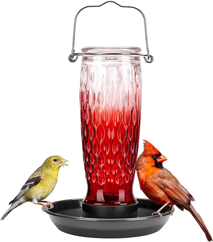 Kingsyard Bird Water Feeder for Outside, 24 Ounce, Glass Bird Water Dispenser with Metal Hanging for Garden Yard Outside Decoration, Red Gradient
