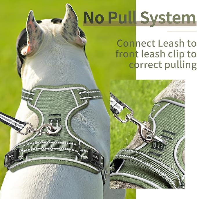 HEELE Dog Harness, Dog Harness for Small Medium Large Dogs No Pull Adjustable Padded Reflective Harness with Handle for Walking Training, Green, S