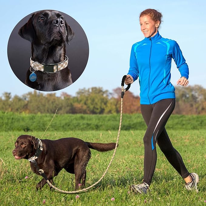 Reflective Dog Collar Padded with Soft Neoprene Breathable Adjustable Nylon Dog Collars for Small Medium Large Dogs (Medium (Pack of 1), Vanilla Plaid Collar+Leash)