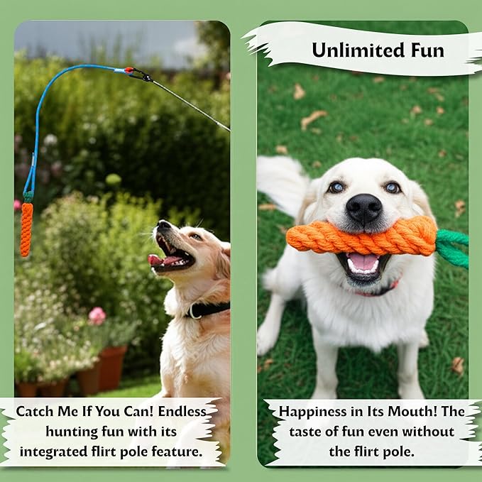 Flirt Pole for Dogs, Tether Tug Outdoor Dog Toy, Interactive Toys for Large Breed & Puppies, Agility Training Equipment, Durable Rope Toy with Chew Ball, Exercise & Training Tool