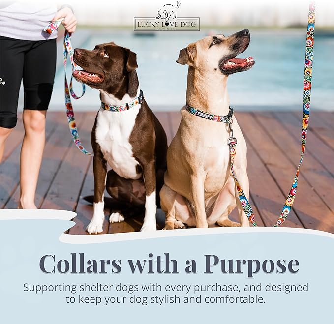 Lucky Love Dog - Adjustable Dog Collar with Easy Click Buckle for Small to Large Ones, Durable, & Comfortable for Male & Female Dogs, Pet Collar for Puppies & Adult Dogs - Blackbird, Medium