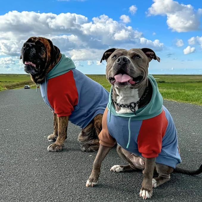 Spark Paws Dog Hoodie – Premium Dog Sweater for Small, Medium, and Large Dogs | Warm Outfits for French Bulldogs, Pitbull, Puppy, Winter Jacket Alternative - Alpine - XL