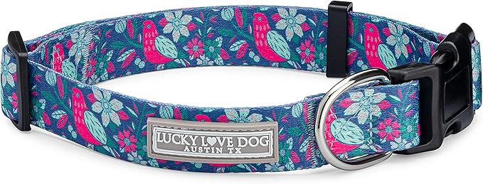 Lucky Love Dog - Adjustable Collar and Leash Set with Easy Click Buckle for Small to Large Dogs, Durable, & Comfortable Collar for Male & Female Dogs, Puppies & Adul t- CarrieBelle Combo, Medium
