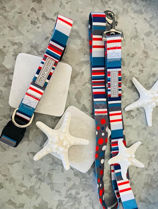 Lucky Love Dog - Adjustable Dog Collar and Leash Set with Easy Click Buckle for Small to Large Dogs, Durable, & Comfortable Collar for Male & Female Dogs, Puppies & Adult Ones - Linus Combo, Medium