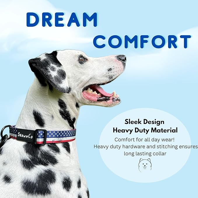 ShawnCo Dream Walk Dog Collar- Premium, Adjustable and Comfortable Pet Collar for Small, Medium, Large and Extra Large Dogs (Electric Blue,L)