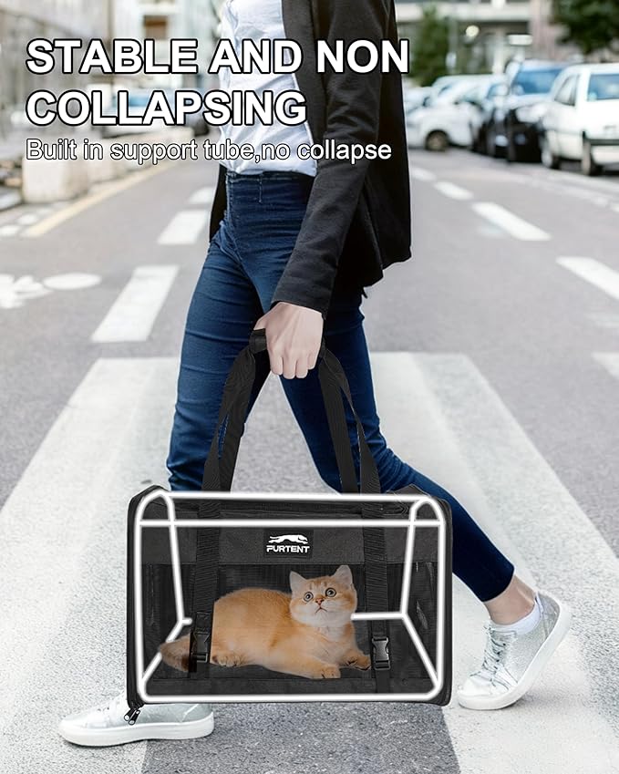 Soft-Sided Large Cat Carrier for 2 Cats, Spacious Foldable Pet Travel Carrier for Large Cats up to 25 Lbs, Double Cat Bag with Shoulder Strap, 20x13x13 Inch, Fits Maine Coon and Small Dogs, Black