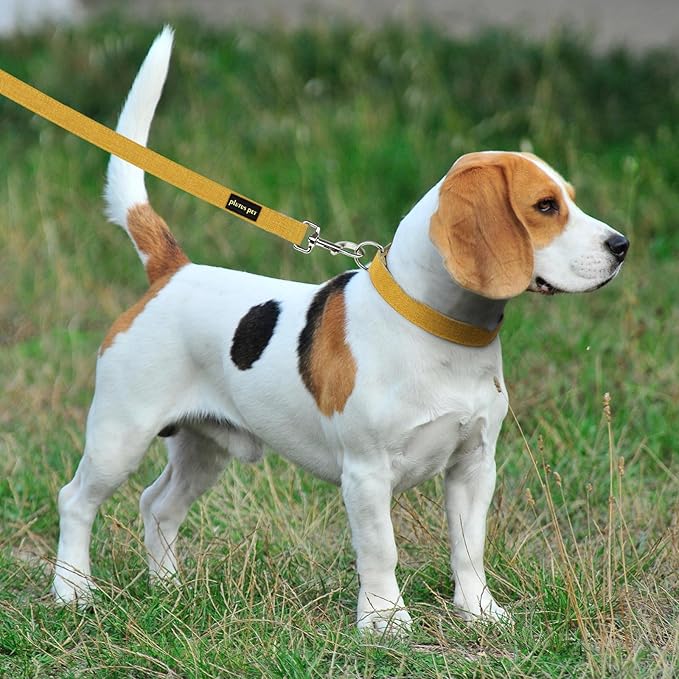 Plutus Pet Cotton Hemp Dog Collar and Leash Set, Adjustable Collar for Small, Medium, and Large Dogs, Heavy Duty and Soft on Skin, Yellow, XS