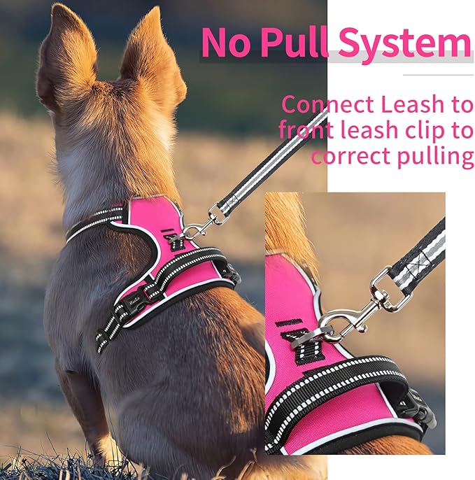 HEELE Dog Harness, No Pull Adjustable Padded Reflective Harness for Small Medium Large Dogs with Handle for Walking Training, Rose, XL