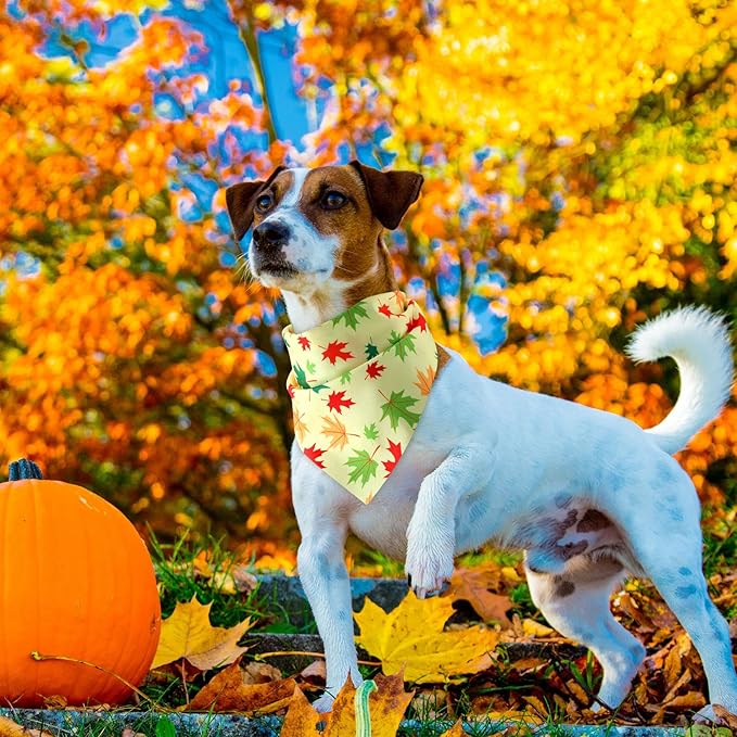 Weewooday 50 Pcs Fall Dog Bandanas Bulk Pumpkin Maple Leaves Thanksgiving Autumn Bandanas for Bibs Adjustable Scarf for Small Medium Large Pet Cat Costume(Leaves Pattern, 19.7 x 13.8 x 13.8 Inch)
