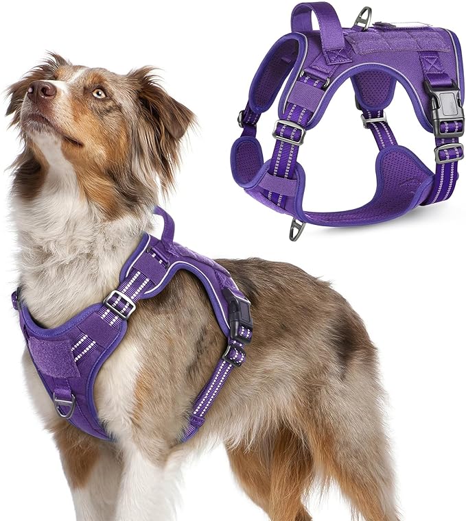 rabbitgoo Tactical Dog Harness Medium Sized Dog, No Pull Military Service Vest with Handle & Molle, Easy Control for Training Walking, Adjustable Reflective Straps, Purple, M