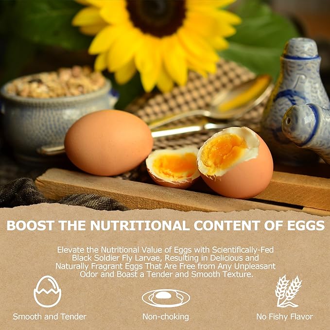 5LB Non-GMO Dried Black Soldier Fly Larvae, Superior Calcium Boost for Chickens, Better Than Dried Mealworms, Poultry Feed Ideal for Molting & Laying Hens, Wild Birds, Ducks | Top Grade BSF