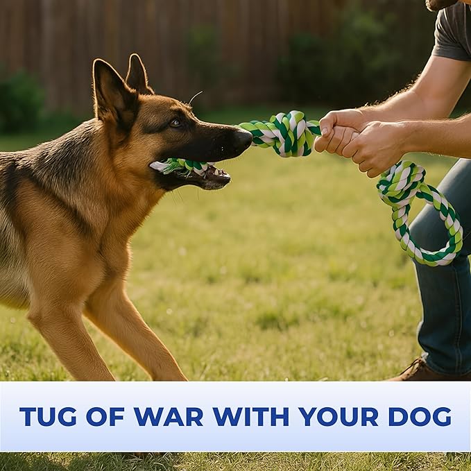 Dog Rope Toys, Heavy Duty Chew Toy for Large Dogs, 2-Pack Durable Tug of War Toys, 100% Cotton, Safe & Washable, Great for Teeth Cleaning, (Blue/White and Green/White/Green)