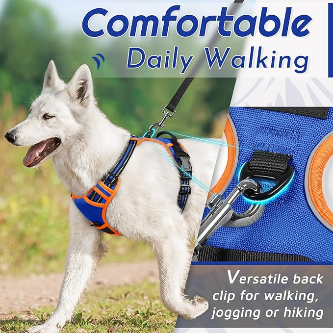 Eagloo Dog Harness Small Sized Dog, No Pull Service Vest with Reflective Strips and Control Handle, Adjustable and Comfortable for Walking, No Choke Pet Harness with 2 Metal Rings, Blue & Orange, S