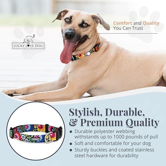 Lucky Love Dog - Adjustable Dog Collar with Easy Click Buckle for Small to Large Ones, Durable, & Comfortable for Male & Female Dogs, Pet Collar for Puppies & Adult Dogs - Blackbird, Medium