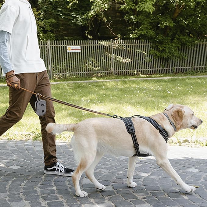 Small Treat Pouch Dog Treat Dispenser with Waste Bag Dispenser for Leash Walking, Portable, Poop Bag Holder, Hand Free, Gray