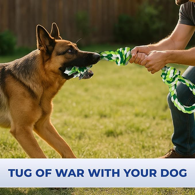 Pup Quartet Dog Rope Toy for Aggressive Chewers 2-Pack Tug of War Dog Toy with Thick Knots Heavy Duty Rop Toys for Dogs – Indestructible Rope Chew Toys for Medium & Large Dogs