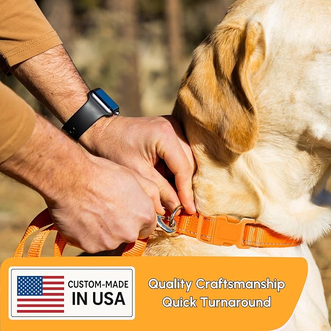 PAWBLEFY Personalized Dog Collars - Reflective Nylon Collar Customized with Name and Phone Number Adjustable Sizes for Small Dogs, Medium, Large 4 Colors Male Female boy Girl Puppies