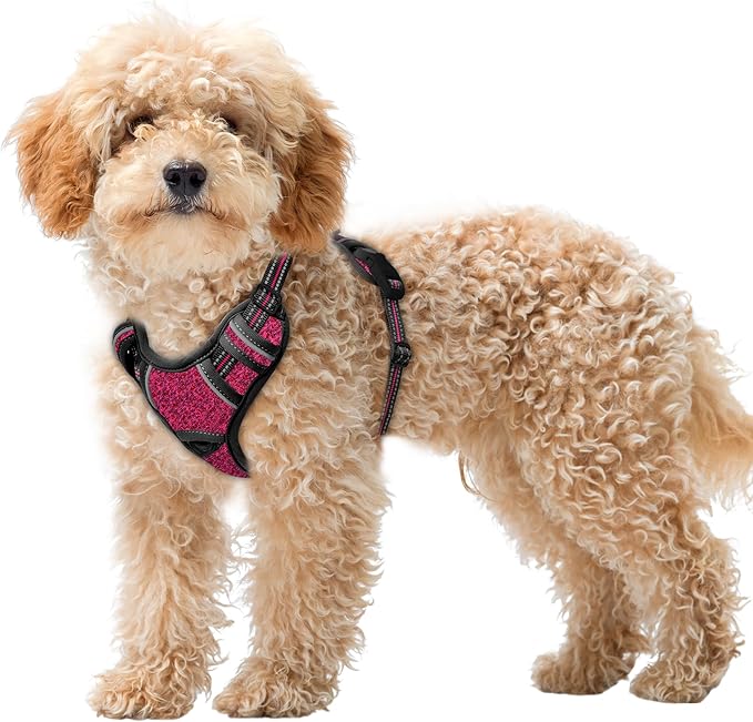 BARKBAY No Pull Dog Harness Large Reflective Dog Harness with Front Clip and Easy Control Handle for Walking Training Running with ID tag Pocket(Pink/Black,XS)