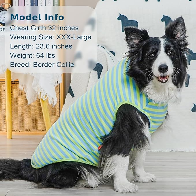 KYEESE 2Pack Dog Shirts Striped T Shirt for Large Dogs Lightweight Clothes Sleeveless Vest Cotton Tank Top, XXX-Large,Blue+Striped