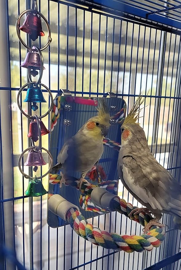 7" Bird Mirror with Rope Perch Bird Toys Swing, Comfy Perch for Greys Amazons Parakeet Cockatiel Conure Lovebirds Finch Canaries