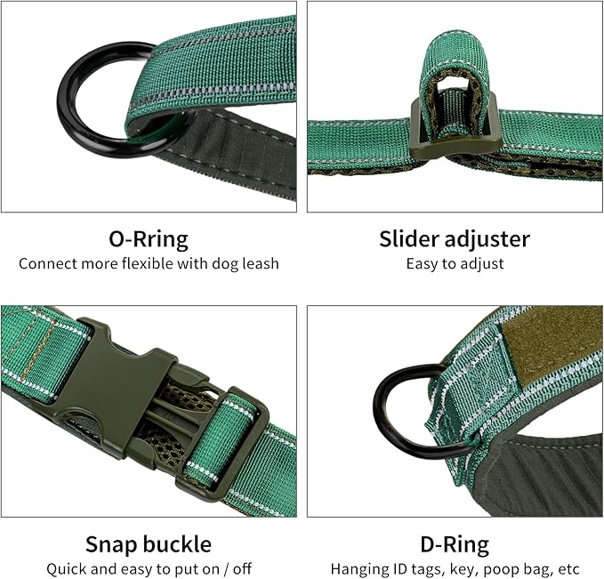 Annchwool No Pull Dog Harness with Padded Handle+5 Ft Leash,Reflective Strip Escape Proof and Quick Fit to Adjust Dog Harness,Easy for Training Walking for Small & Medium and Large Dogs(Green-Set,XL)