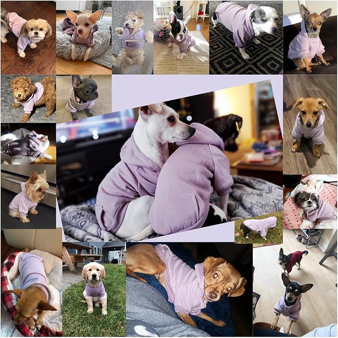 Jecikelon Winter Dog Hoodie Sweatshirts with Pockets Warm Dog Clothes for Small Dogs Chihuahua Coat Clothing Puppy Cat Custume (Purple, Small)