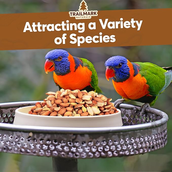 8 LB - Raw Shelled Peanuts For Squirrels, Out of Shell Peanuts For Birds and Wildlife- Squirrel Food, Wild Bird Seed - Grown in The USA