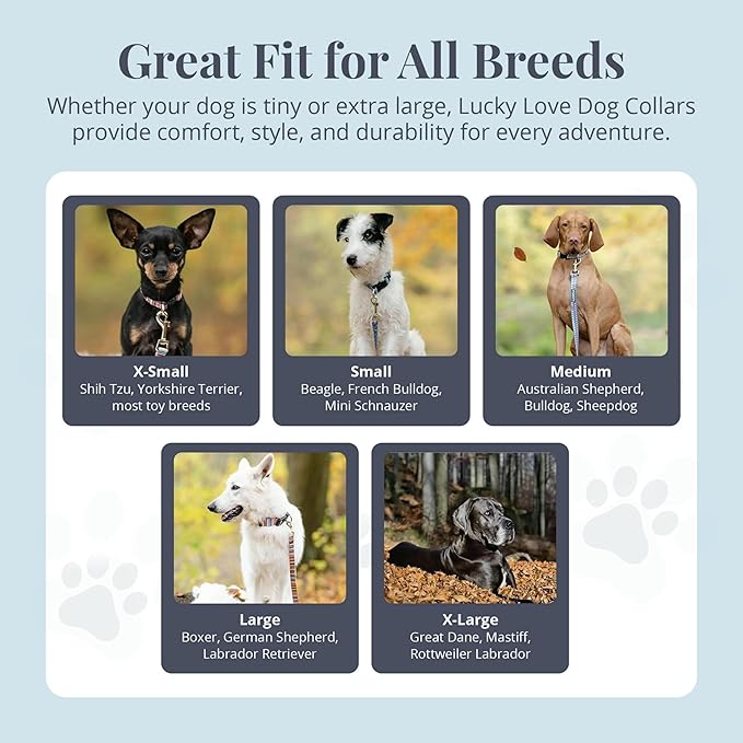 Lucky Love Dog, Comfortable, Soft, Cute Female Dog Collar for Tiny Dogs, Black & Purple Floral Print, Adjustable Nylon Collar, Primrose, XS