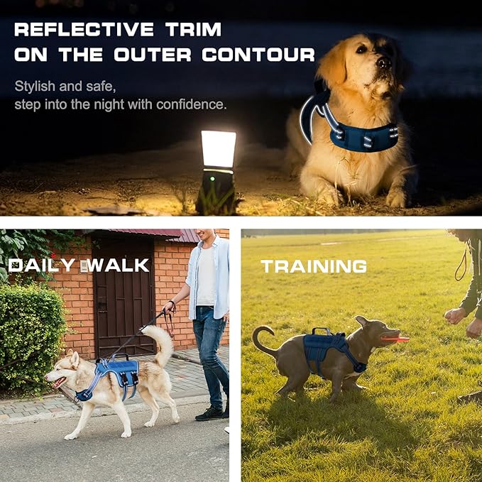 Small Dog Harness, Heavy Duty Tactical No Pull Dog Harness, No Choke, Easy On and Off Pet Vest with Molle System, Adjustable Reflective Dog Vest with Breathable Padded for Walking Hiking Training