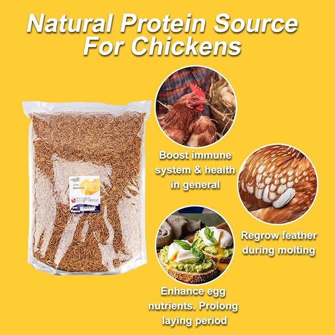 RANZ 10LBS Non-GMO Dried Mealworms for Chickens, High Protein Meal Worms, Premium Chicken Feed, Perfect Bird Food and Chicken Treats, Whole Large Mealworms for Wild Birds, Ducks, Fish