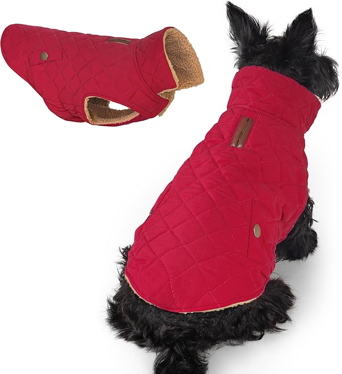 azuza Dog Jacket Waterproof & Windproof Dog Coat for Small Dogs with Thick Fleece, High Collar with Leash Hole, Adjustable Velcro & Elastic Belly, Red M