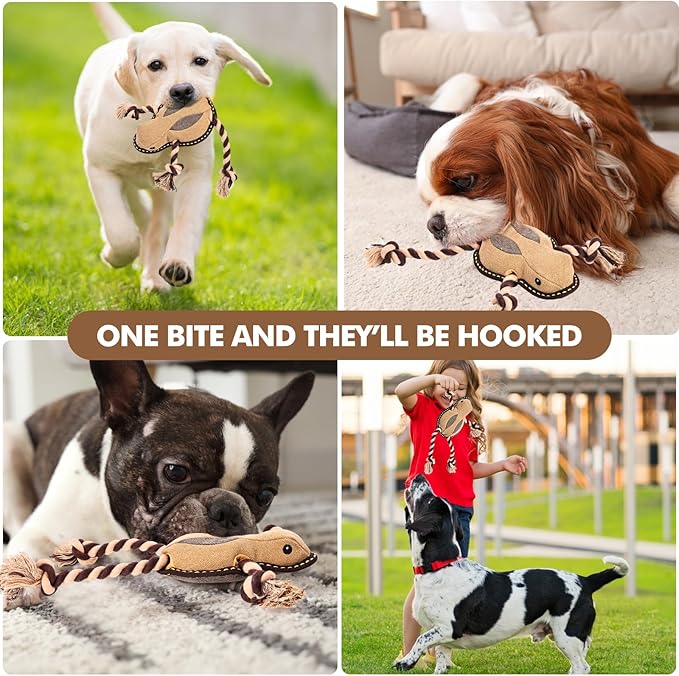 Tough Durable Squeaky Dog Toys for chewers Interactive to Keep Them Busy, Funny Tug of War Dogs Toy for Small Medium Large Cute Birthday Gift (New Frog)