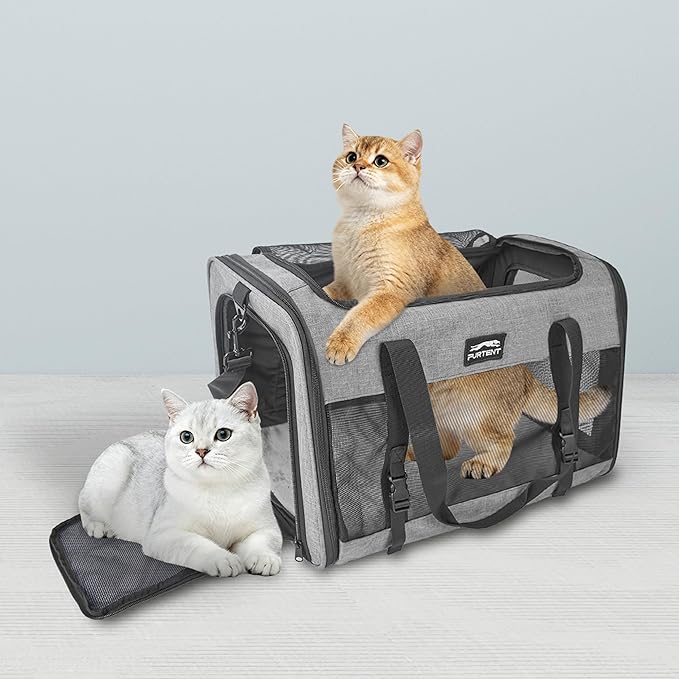 Soft-Sided Large Cat Carrier for 2 Cats, Spacious Foldable Pet Travel Carrier for Large Cats up to 25 Lbs, Double Cat Bag with Shoulder Strap, 20x13x13 Inch, Fits Maine Coon and Small Dogs, Grey