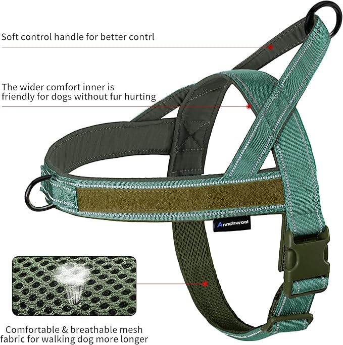 Annchwool No Pull Dog Harness with Padded Handle+5 Ft Leash,Reflective Strip Escape Proof and Quick Fit to Adjust Dog Harness,Easy for Training Walking for Small & Medium and Large Dogs(Green-Set,L)