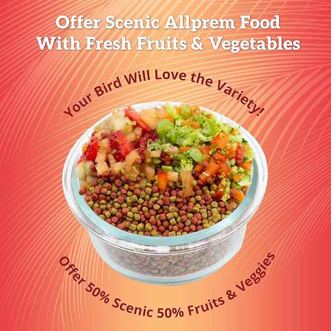 Scenic Allprem Canary and Finch Bird Food | Formulated Diet | Apple and Corn Flavor | 1 Pound Bag (1 LB)